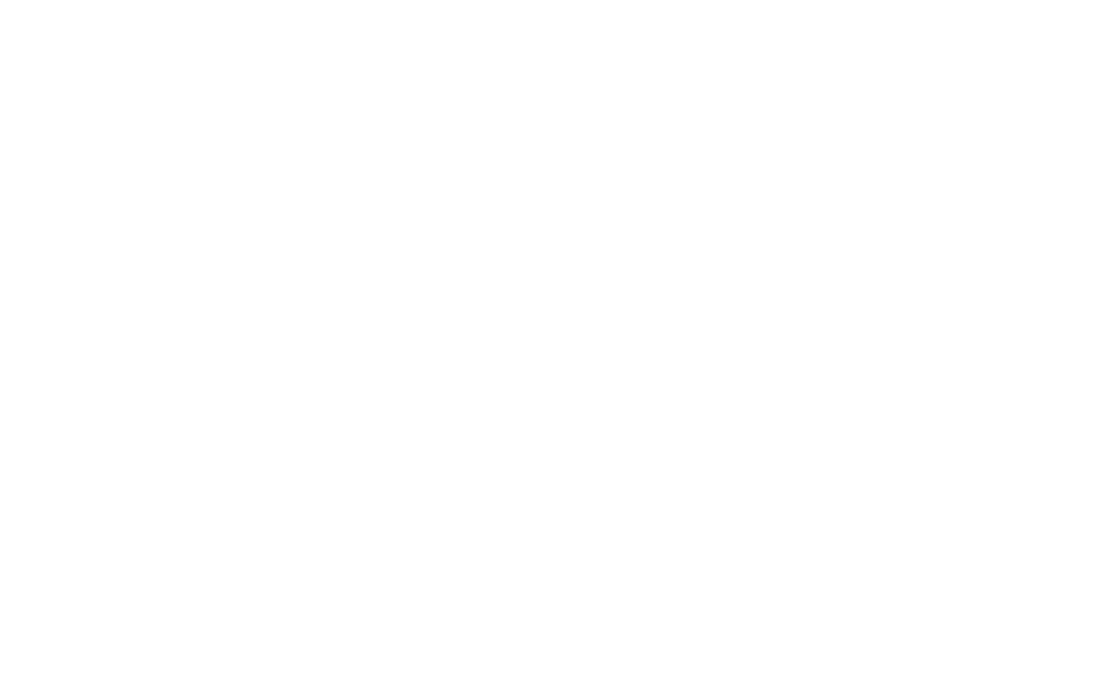 LOGO SOYI STYLE